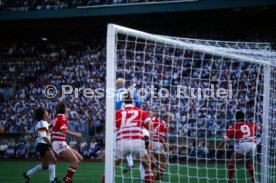 14.06.88 Deutschland - D&auml;nemark