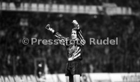 16.10.1991 Deutschland - Wales
