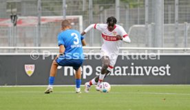 14.09.24 U17 VfB Stuttgart - U17 TSG 1899 Hoffenheim