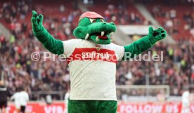 11.11.23 VfB Stuttgart - Borussia Dortmund
