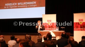 VfB Stuttgart Regionalversammlung Esslingen