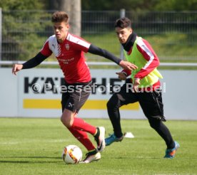 VfB Stuttgart Training