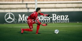 VfB Stuttgart - SG Dynamo Dresden