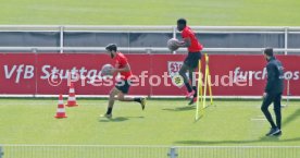 VfB Stuttgart Training