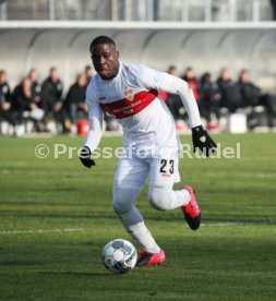 VfB Stuttgart - SG Dynamo Dresden