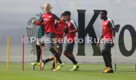 VFB Stuttgart Training