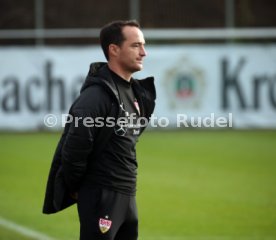 U19 VfB Stuttgart - U19 TSG 1899 Hoffenheim