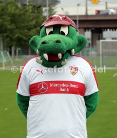 VfB Stuttgart Fototermin 2016/2017