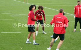 12.11.24 VfB Stuttgart Training