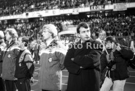 16.10.1991 Deutschland - Wales