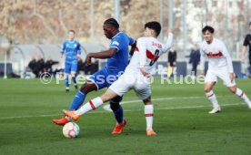 04.02.23 U19 VfB Stuttgart - U19 TSG 1899 Hoffenheim