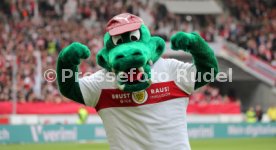 VfB Stuttgart - 1. FC N&uuml;rnberg