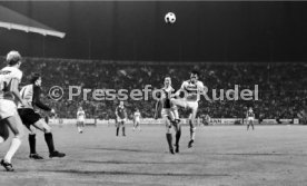 VfB Stuttgart - Cosmos New York