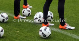 VfB Stuttgart Training