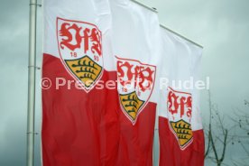 13.03.21 VfB Stuttgart II - FC Astoria Walldorf