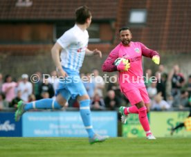 Tim Wiese (SSV Dillingen)