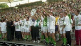 05.06.1993 VfB Stuttgart - SV Werder Bremen