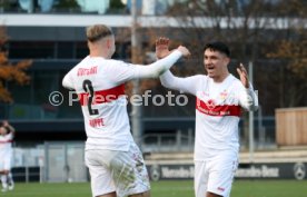 20.11.22 VfB Stuttgart II - 1. FSV Mainz 05 II