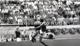 WM 1990 CSFR - Deutschland