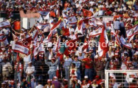 25.05.88 PSV Eindhoven - Benfica Lissabon