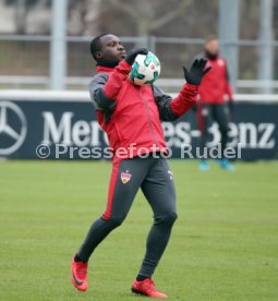 VfB Stuttgart Training
