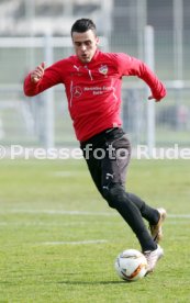 VfB Stuttgart Training