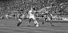 VfB Stuttgart - 1. FC K&ouml;ln