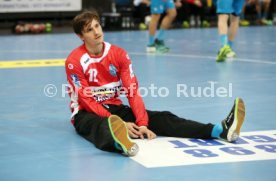 TVB Stuttgart - Rhein-Neckar L&ouml;wen