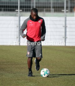 VfB Stuttgart Training
