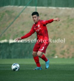 VfB Stuttgart - FC Basel