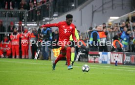 FC Bayern M&uuml;nchen - Tottenham Hotspurs