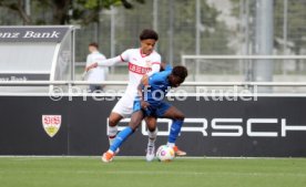 14.09.24 U17 VfB Stuttgart - U17 TSG 1899 Hoffenheim