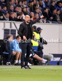 TSG 1899 Hoffenheim - Manchester City