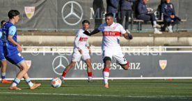 05.01.25 VfB Stuttgart - FC Luzern