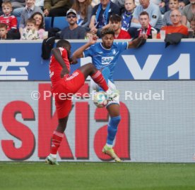 22.10.22 TSG 1899 Hoffenheim - FC Bayern M&uuml;nchen