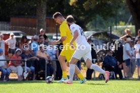 23.08.26 TSV Ph&ouml;nix Steinsfurt - SV Tiefenbach