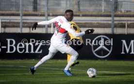 VfB Stuttgart - SG Dynamo Dresden