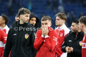 23.02.25 TSG 1899 Hoffenheim - VfB Stuttgart