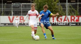14.09.24 U17 VfB Stuttgart - U17 TSG 1899 Hoffenheim