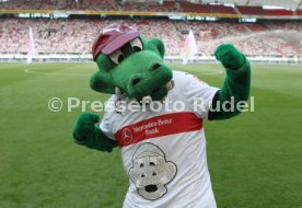 VfB Stuttgart - 1. FSV Mainz 05