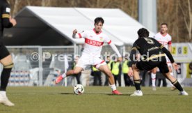23.02.25 VfB Stuttgart II - FC Energie Cottbus