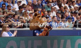 03.08.24 Karlsruher SC - 1. FC N&uuml;rnberg