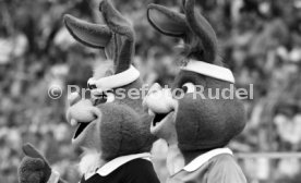 10.06.88 Italien - Deutschland