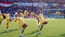 18.06.92 Niederlande - Deutschland