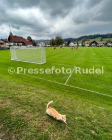 10.07.22 VfB Stuttgart Trainingslager Weiler im Allg&auml;u 2022