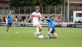 14.09.24 U17 VfB Stuttgart - U17 TSG 1899 Hoffenheim