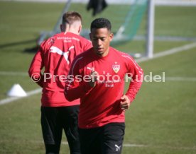 VfB Stuttgart Training