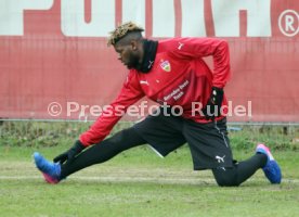 VfB Stuttgart Training