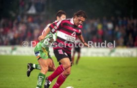 VfB Stuttgart - Rapid Wien