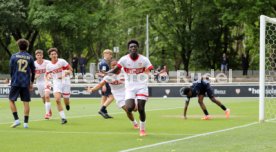03.05.25 U17 VfB Stuttgart - U17 1. FSV Mainz 05